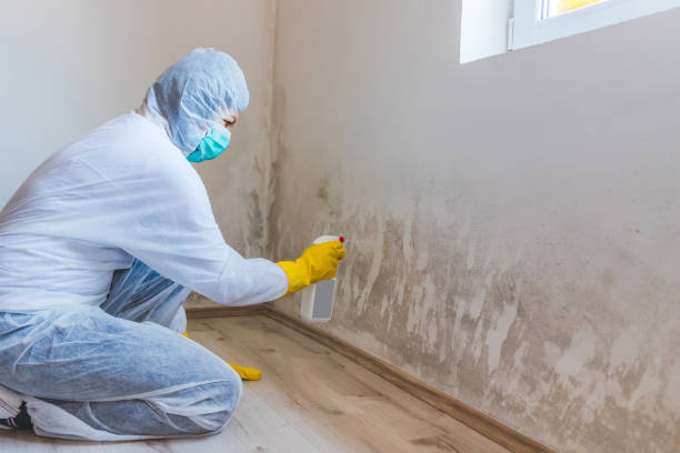 Mold inspector in Leck Kill performing thermal imaging